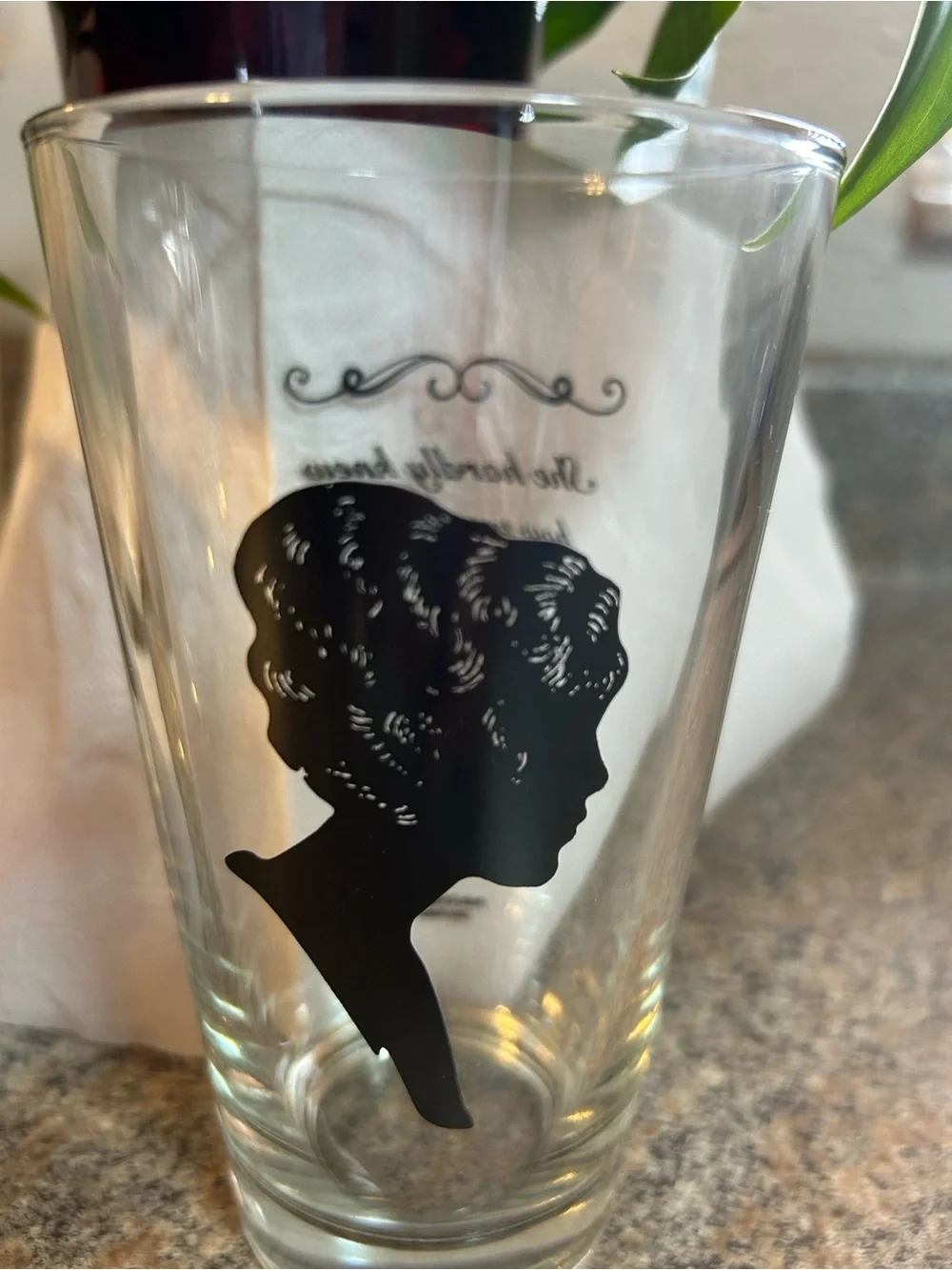Pride & Prejudice Jane Austen Etched Drinking Glasses. Hand Curated & Repurposed